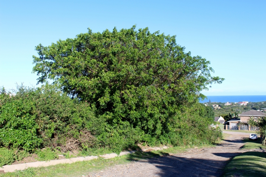 0 Bedroom Property for Sale in Forest Downs Eastern Cape